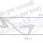 bc284008a9b845ef93decd8f64f937a7