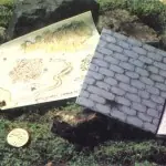 534c49a1ac89384211621189afa5a184