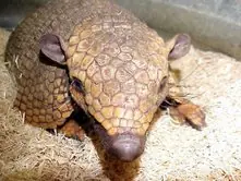 8c375be9299484eea6e7efd363adad0e