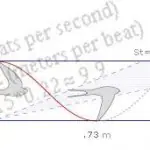 bc284008a9b845ef93decd8f64f937a7