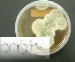 4abcbbb50b1bf63f4f09bf40a5a3ab70